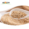 Agolyn premium quality low price white sesame seeds